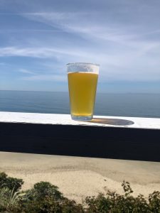 summer beer