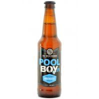 RJ Rockers Brewing Company - Pool Boy