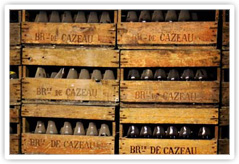 Bottles of beer aging at Brasserie de Cazeau
